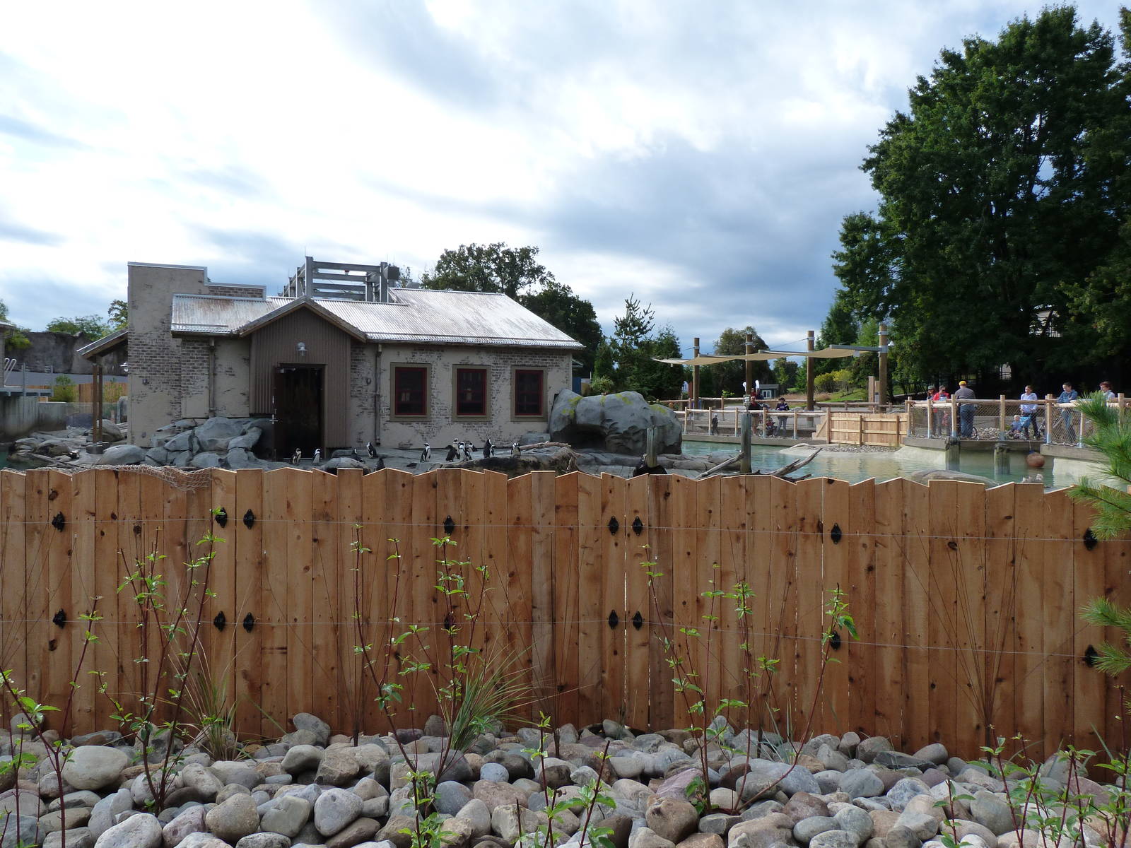 Penguin Coast - October 2014