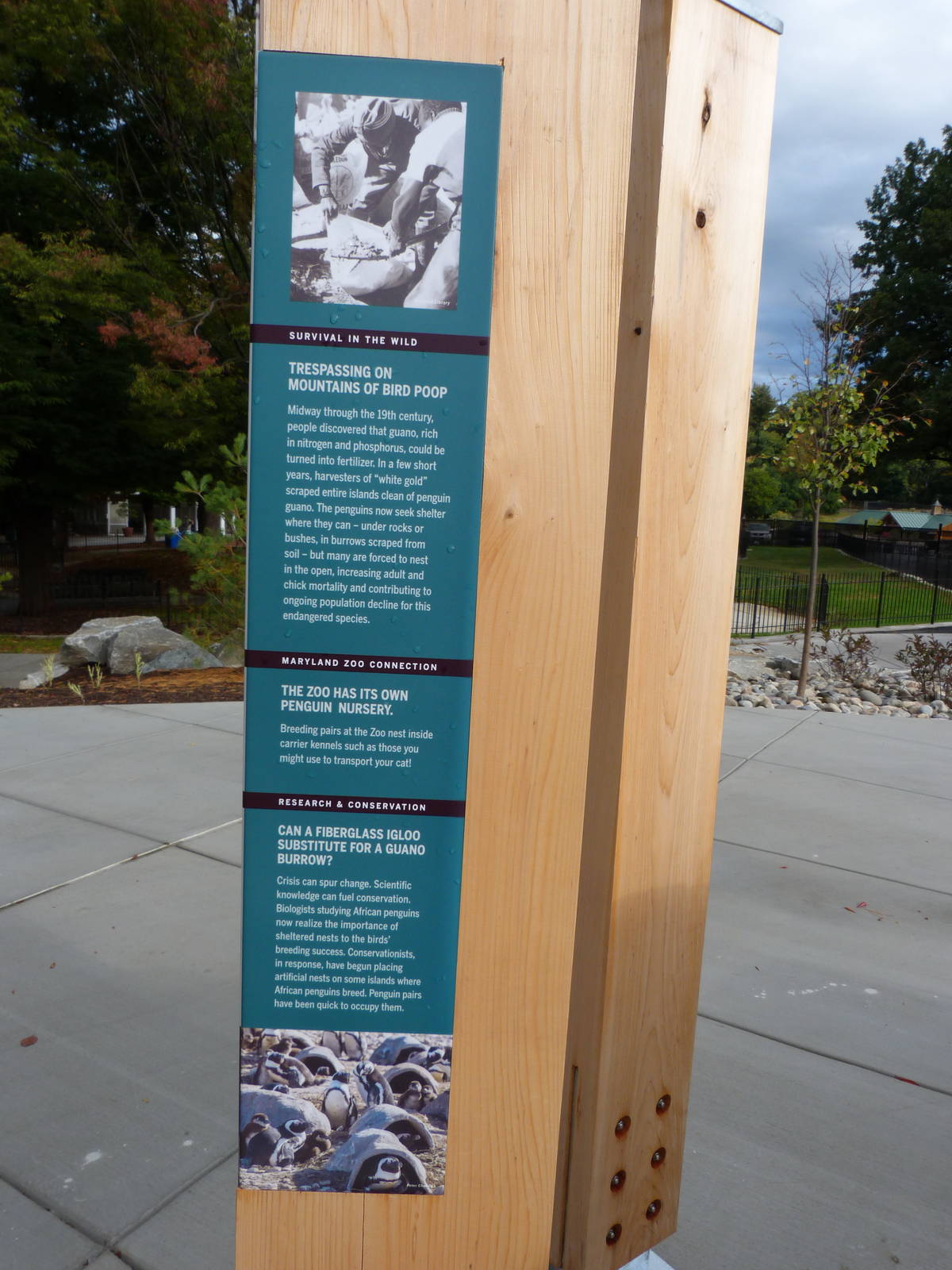 Penguin Coast - October 2014