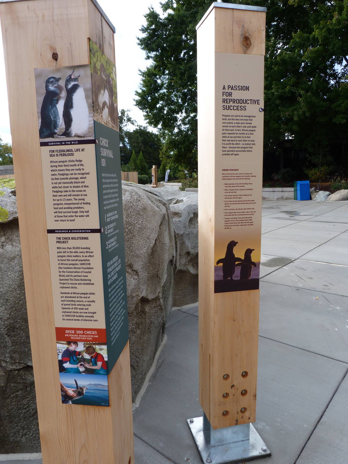 Penguin Coast - October 2014