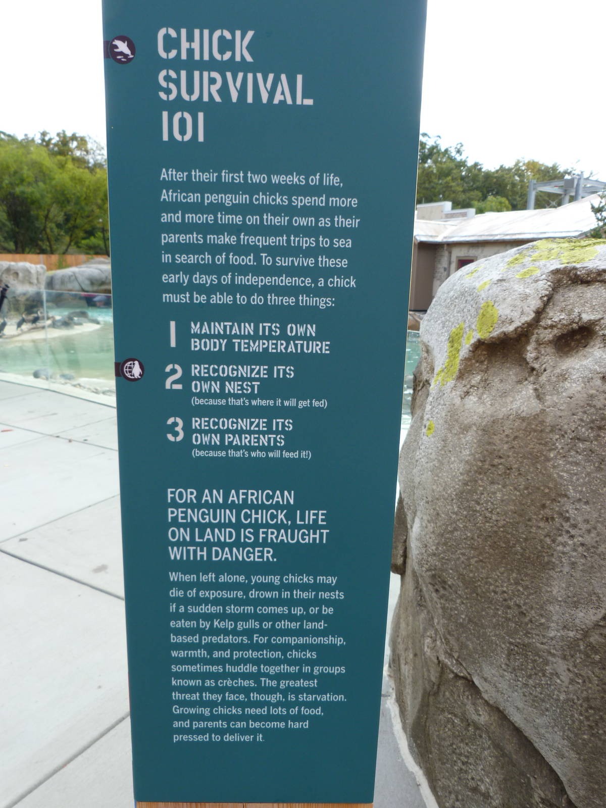 Penguin Coast - October 2014