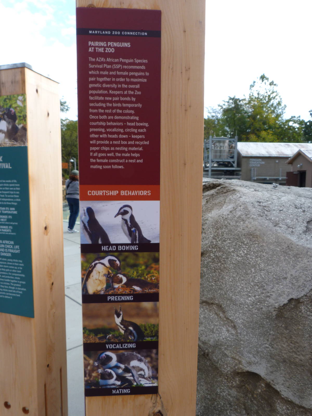 Penguin Coast - October 2014