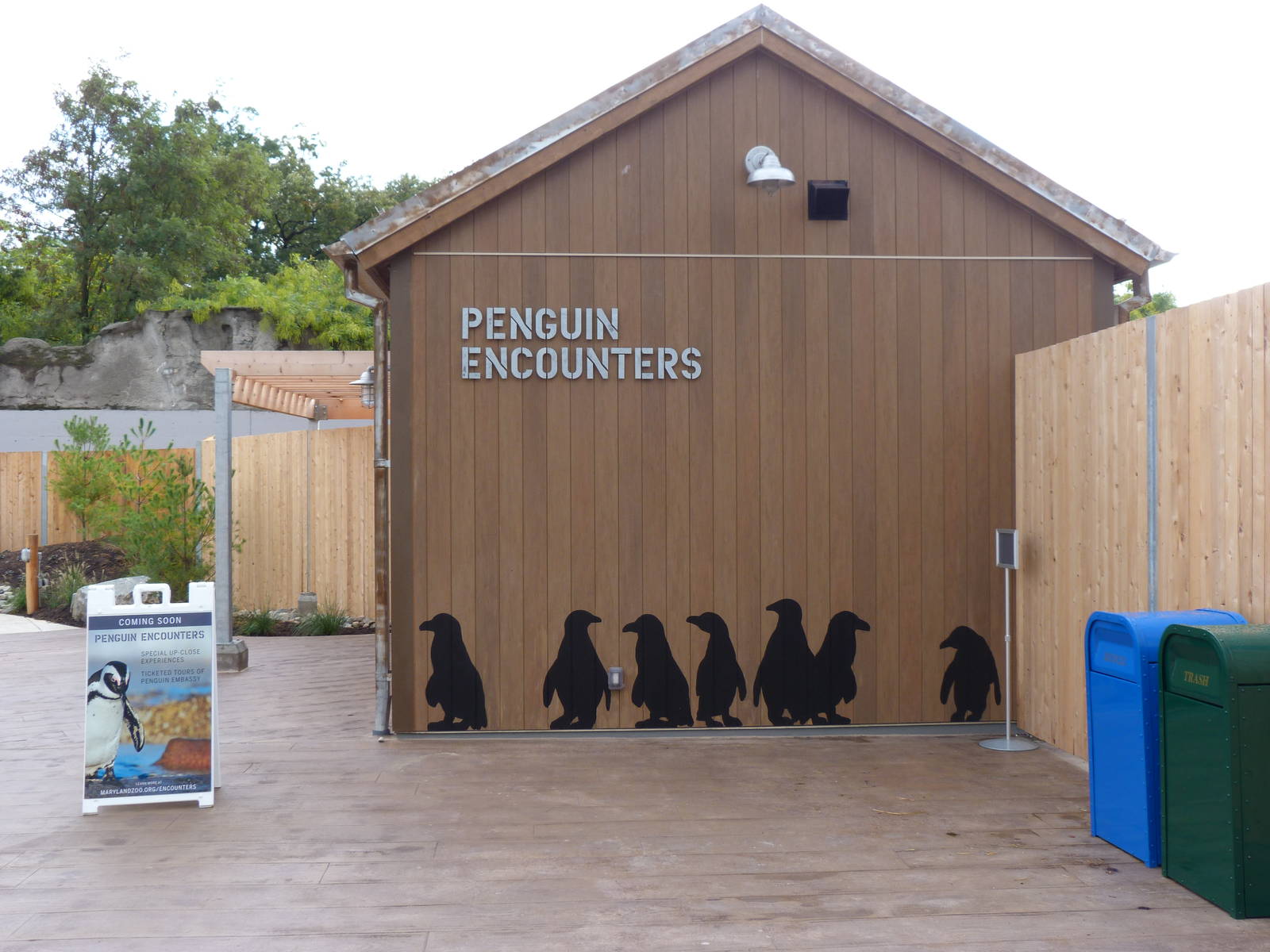 Penguin Coast - October 2014