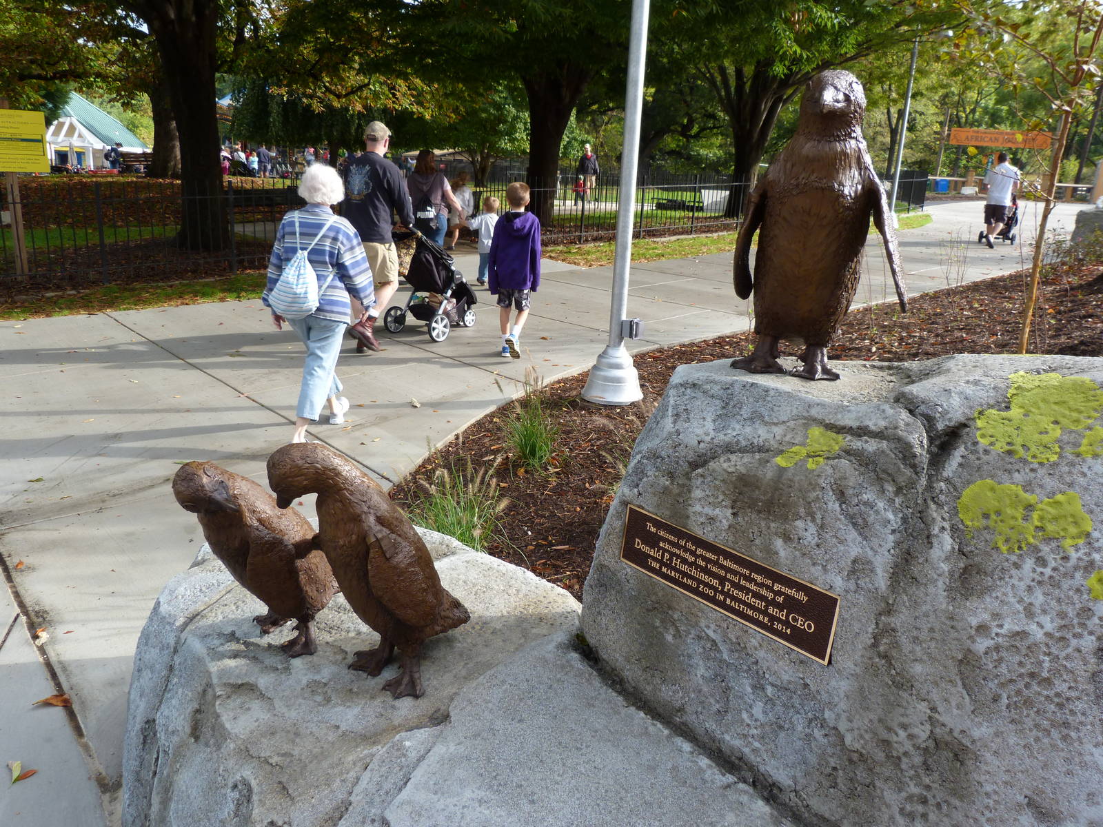 Penguin Coast - October 2014