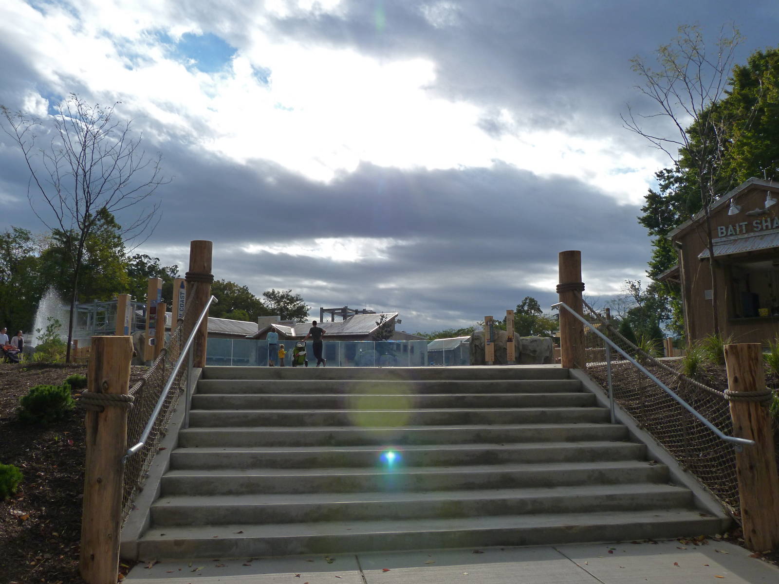 Penguin Coast - October 2014