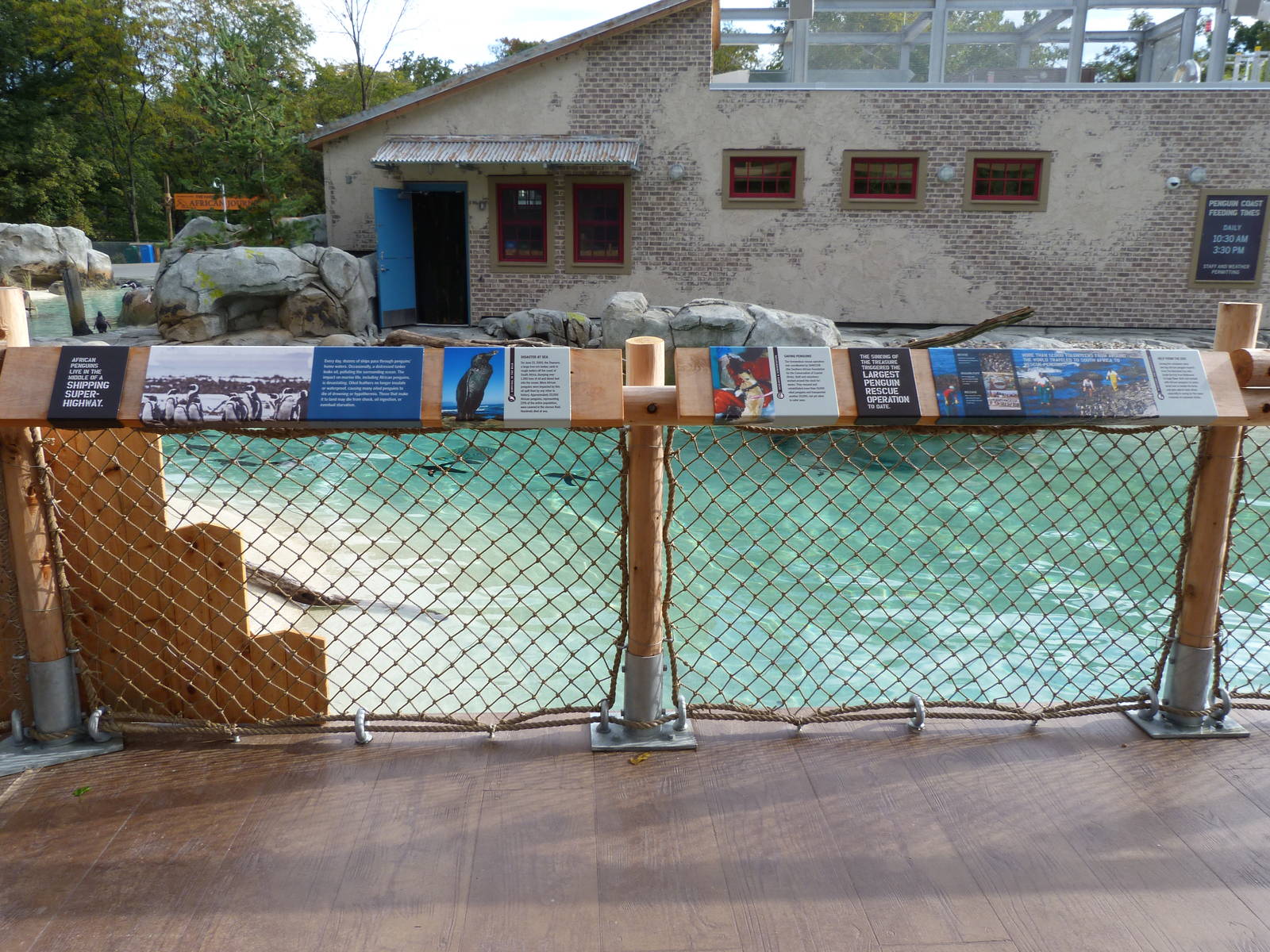 Penguin Coast - October 2014n