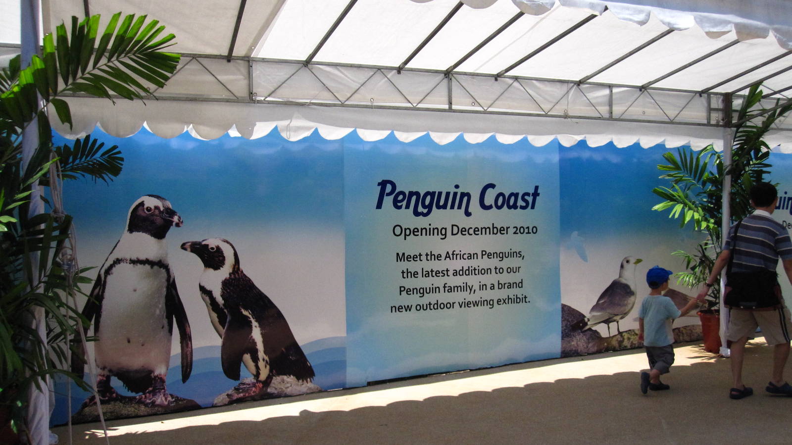 Penguin Coast (Opening Dec 2010)