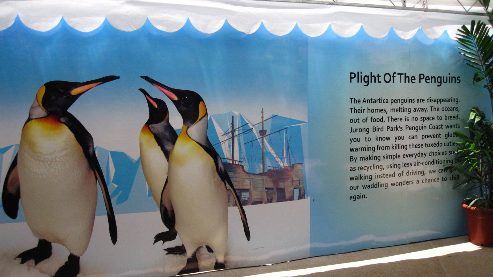 Penguin Coast (Opening Dec 2010)