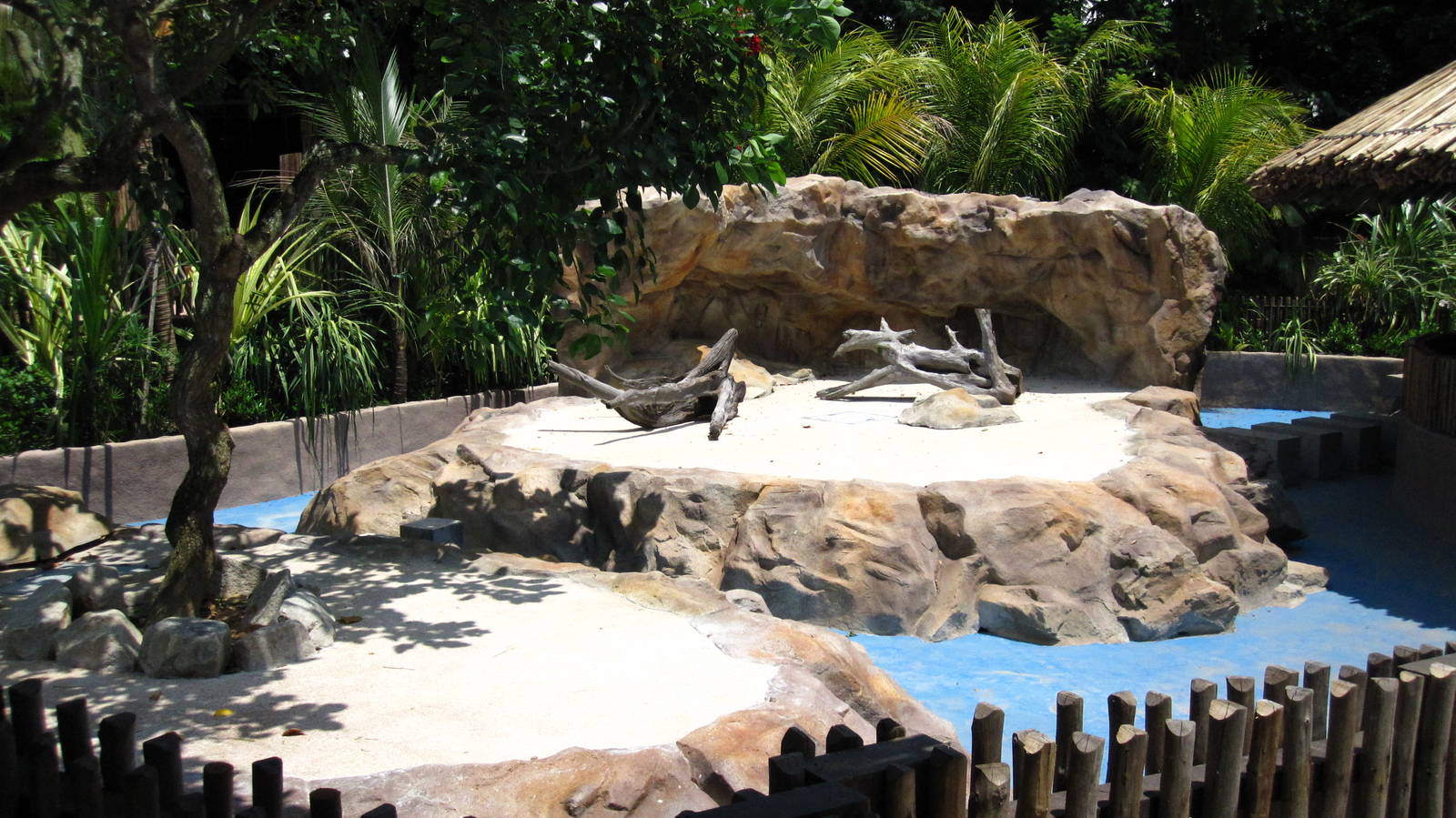 Penguin Coast (Opening Dec 2010)