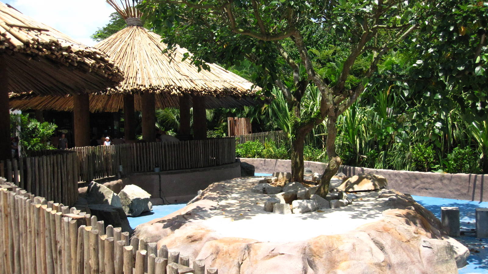 Penguin Coast (Opening Dec 2010)