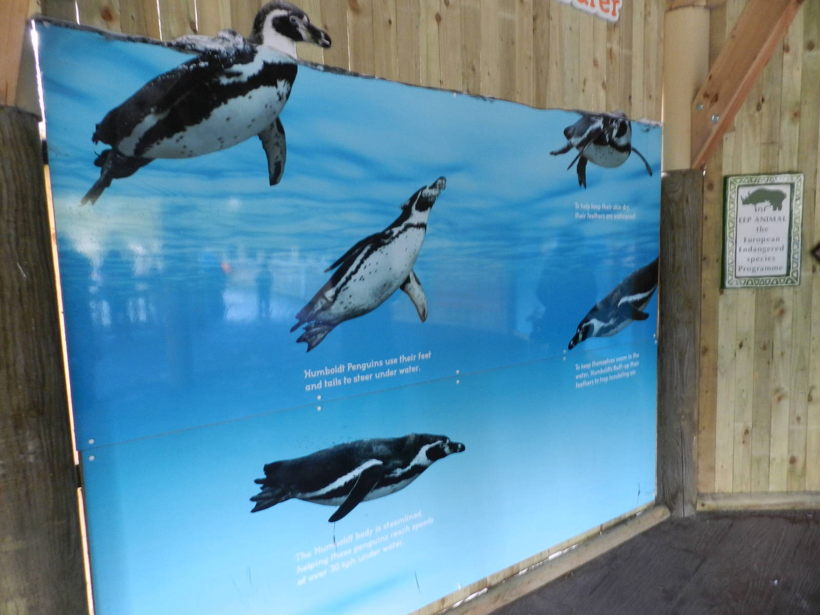 Penguin Coast Signage at Flamingo Land - 14/10/2012