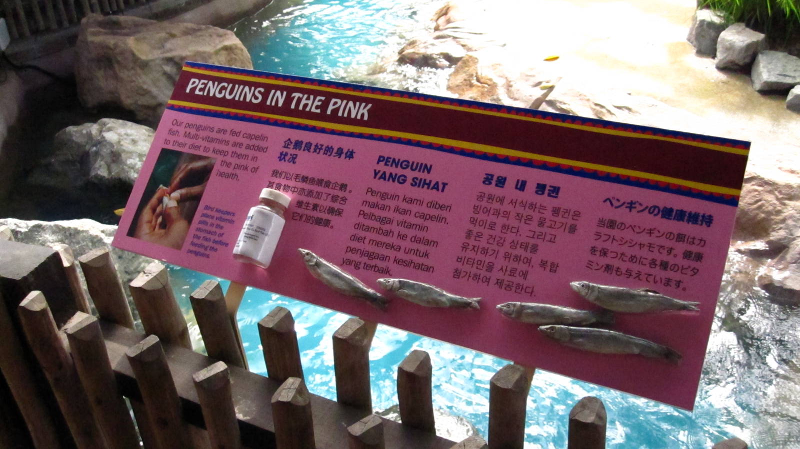 Penguin Coast - Signage