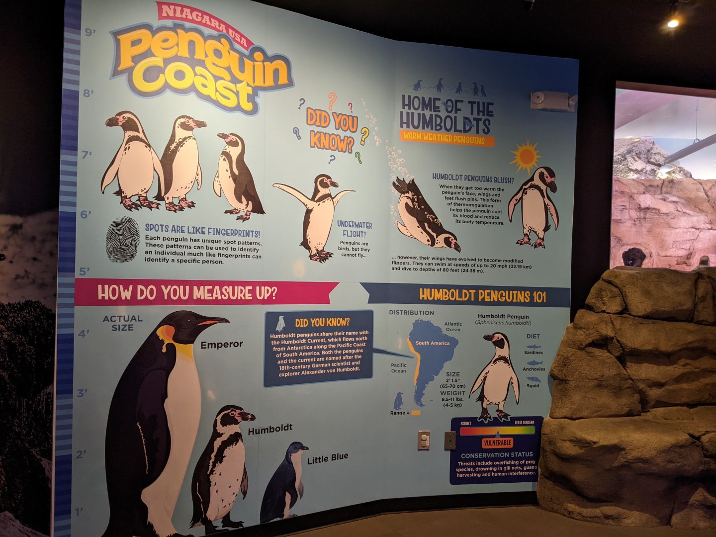 Penguin Coast