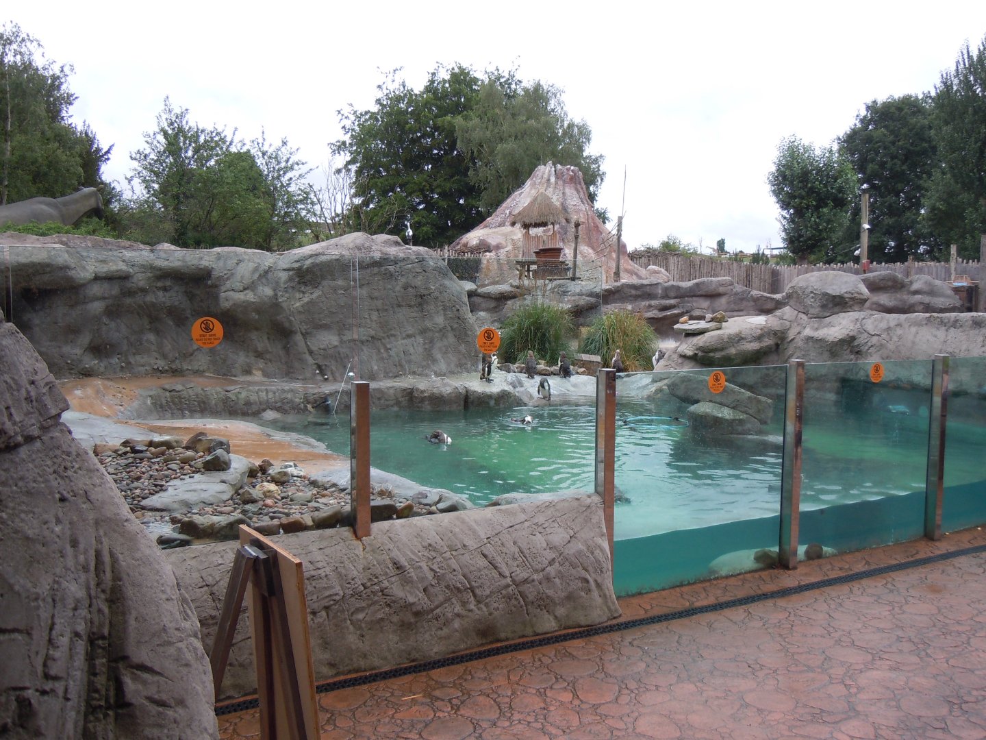 Penguin Cove 130720