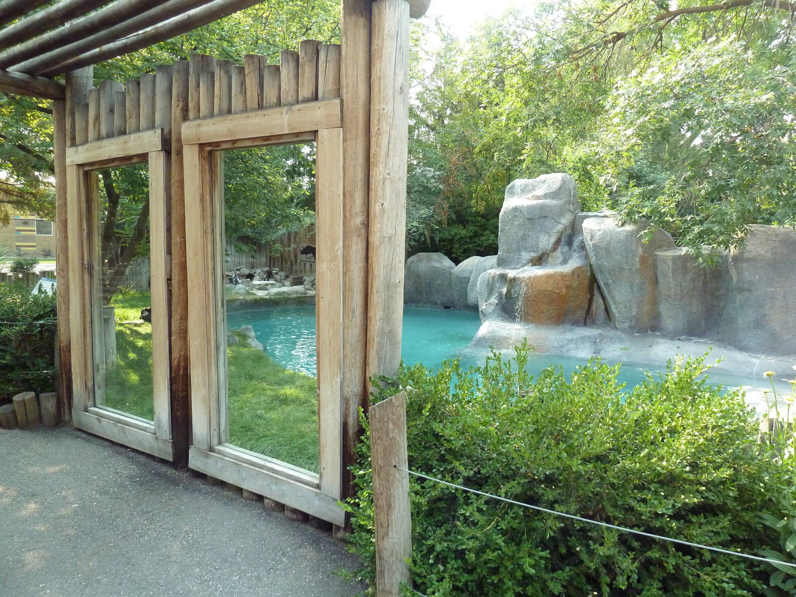 Penguin Cove - African Black-Footed Penguin Exhibit