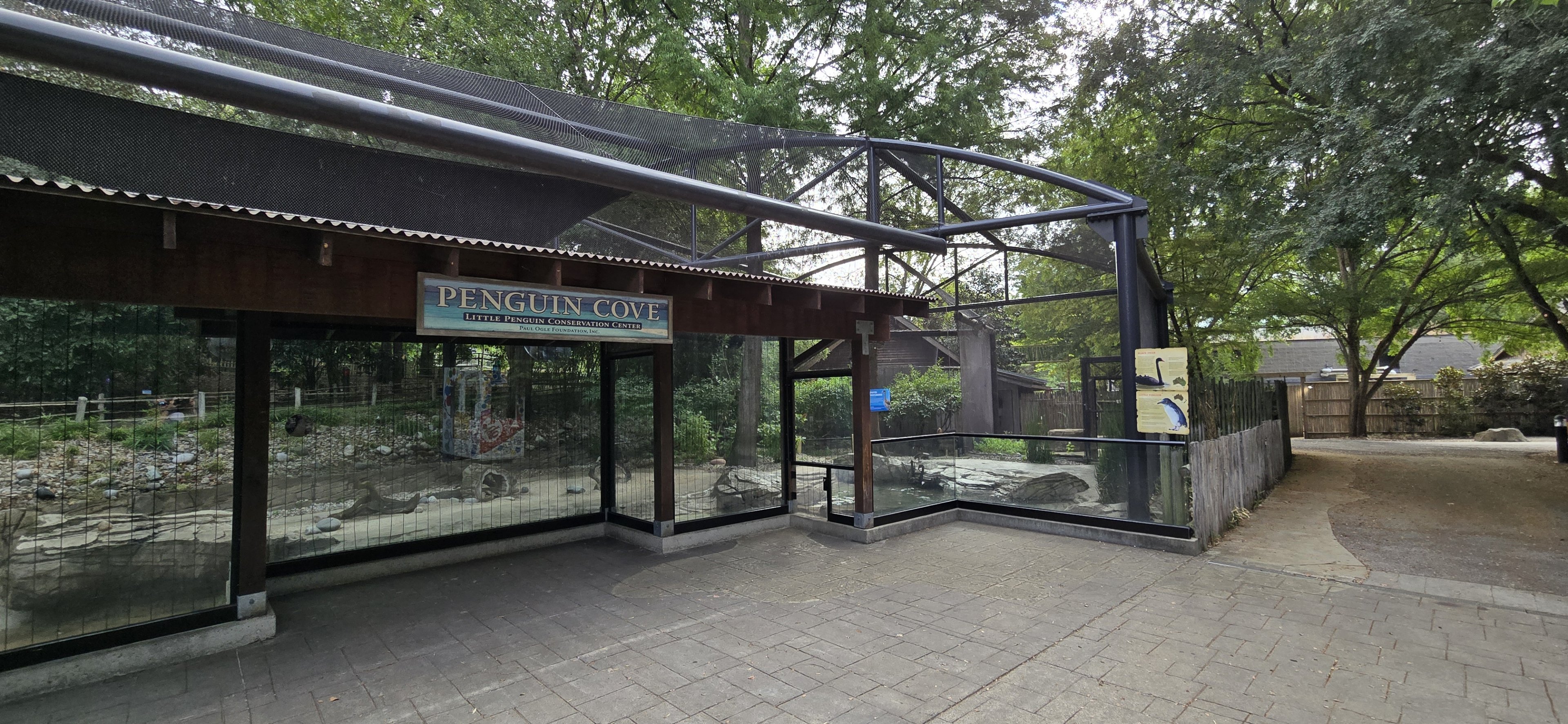 Penguin Cove (little penguins)