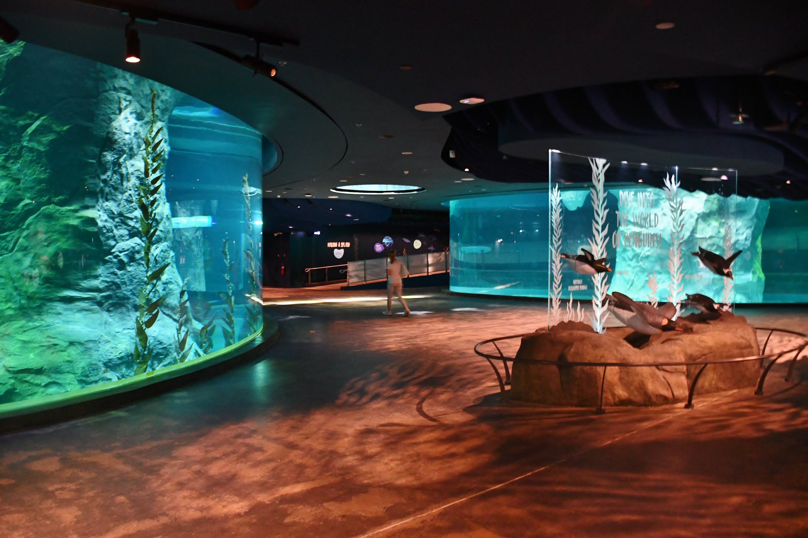 Penguin Cove lower level