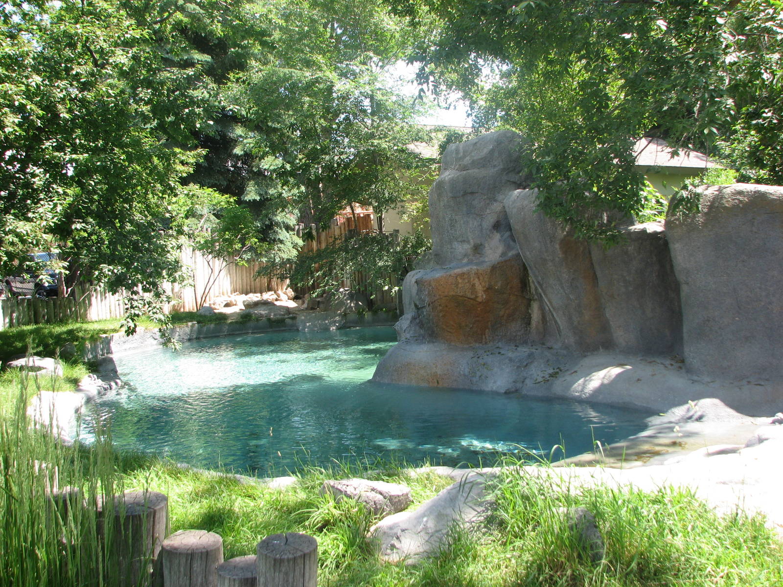 Penguin Cove - Outdoor Exhibit