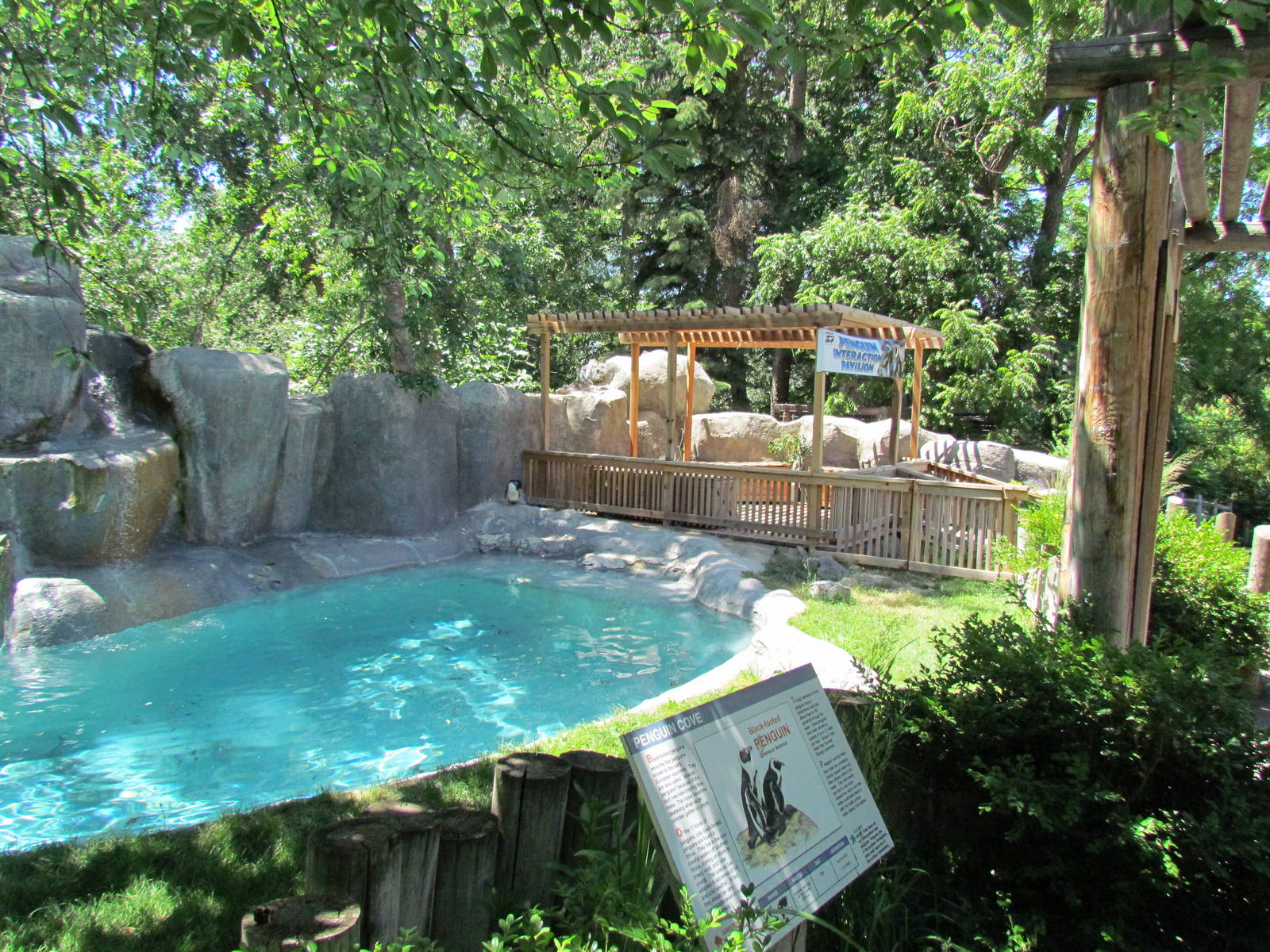 Penguin Cove - Outdoor Exhibit
