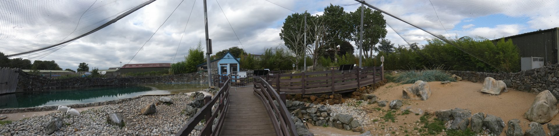 Penguin cove panorama