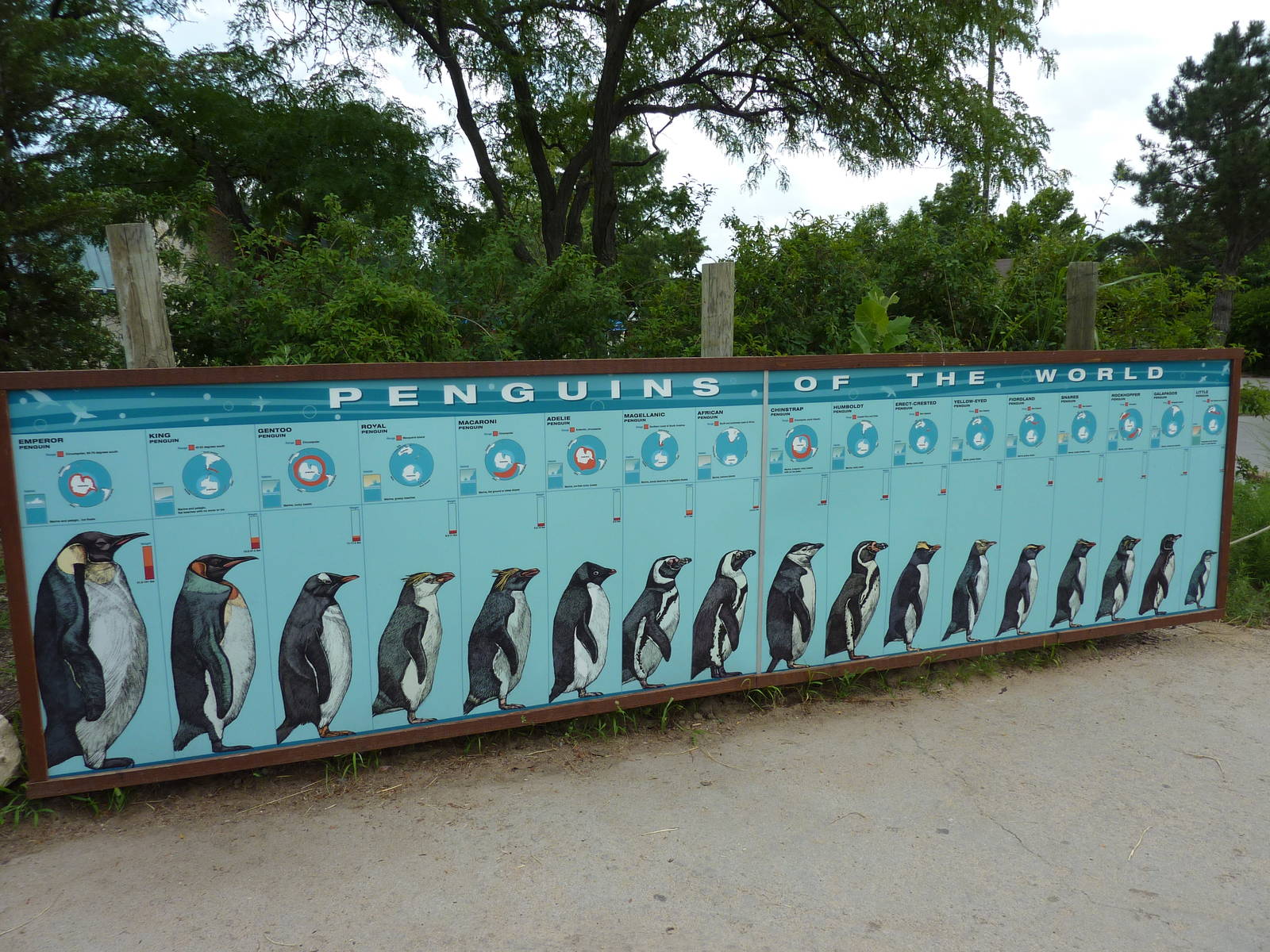 Penguin Cove - Signage