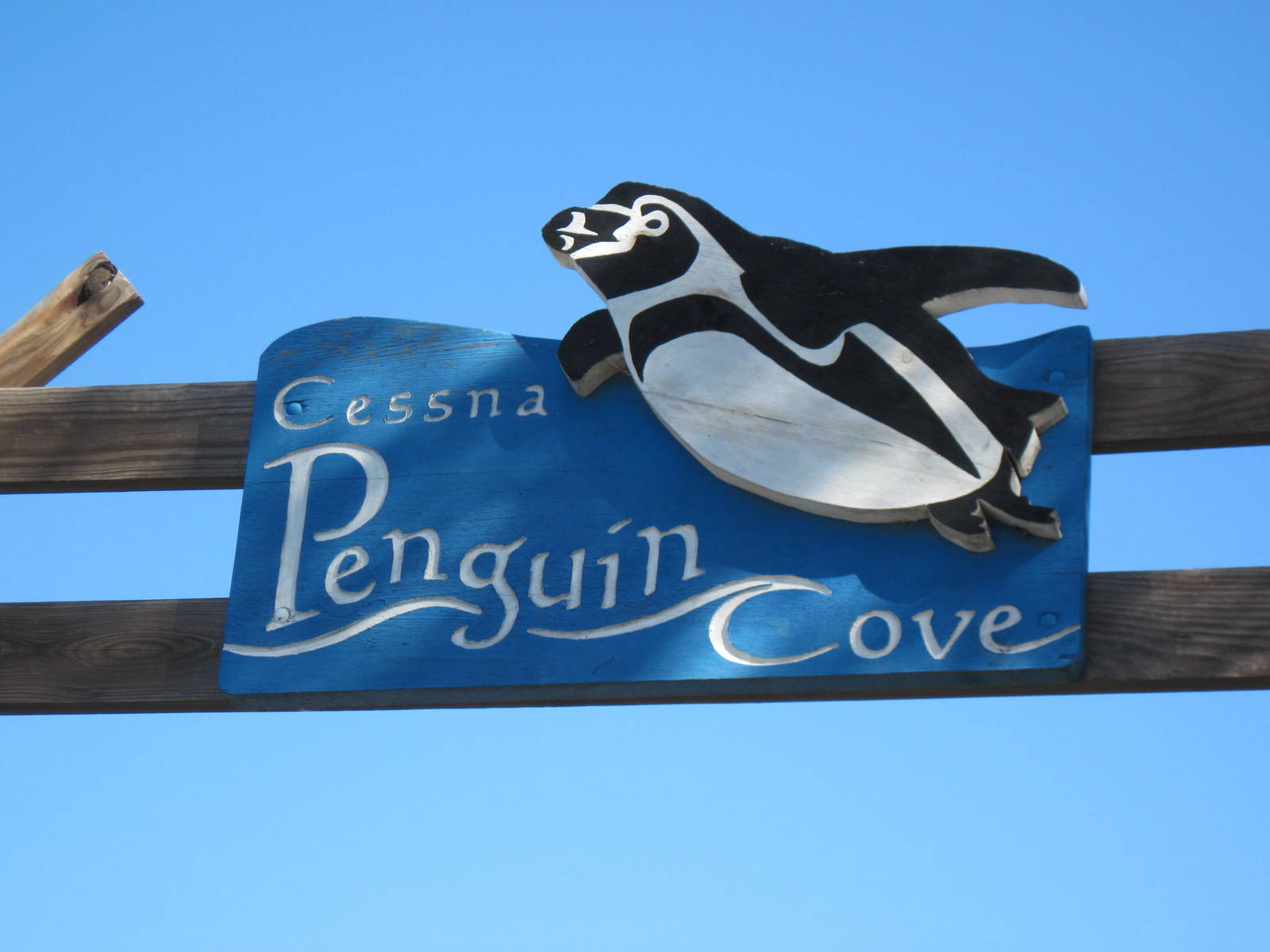 Penguin Cove-Signage