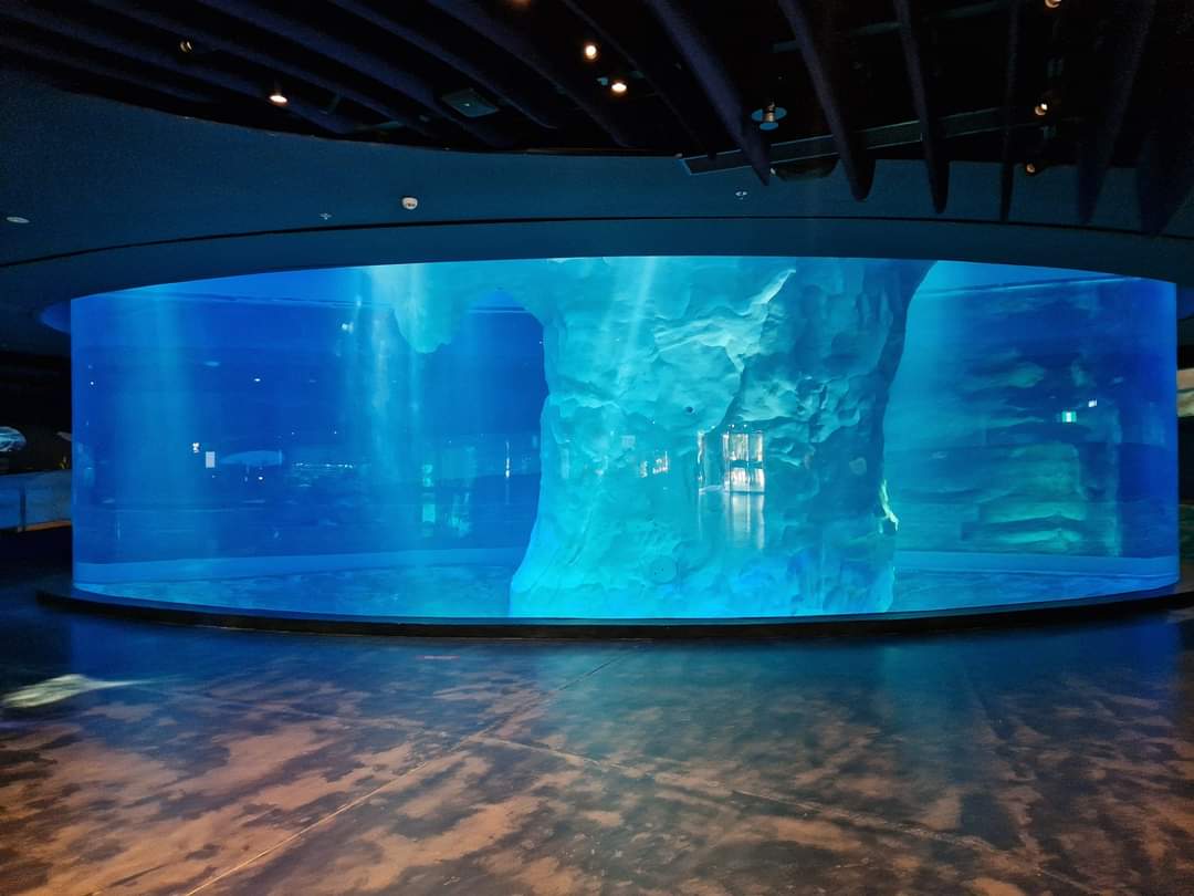 Penguin Cove underwater view