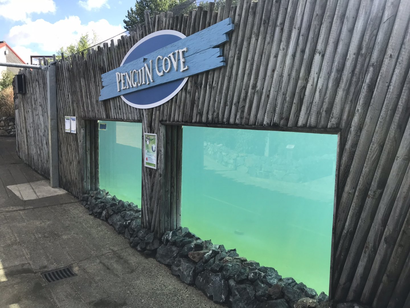 Penguin Cove underwater viewing 100818