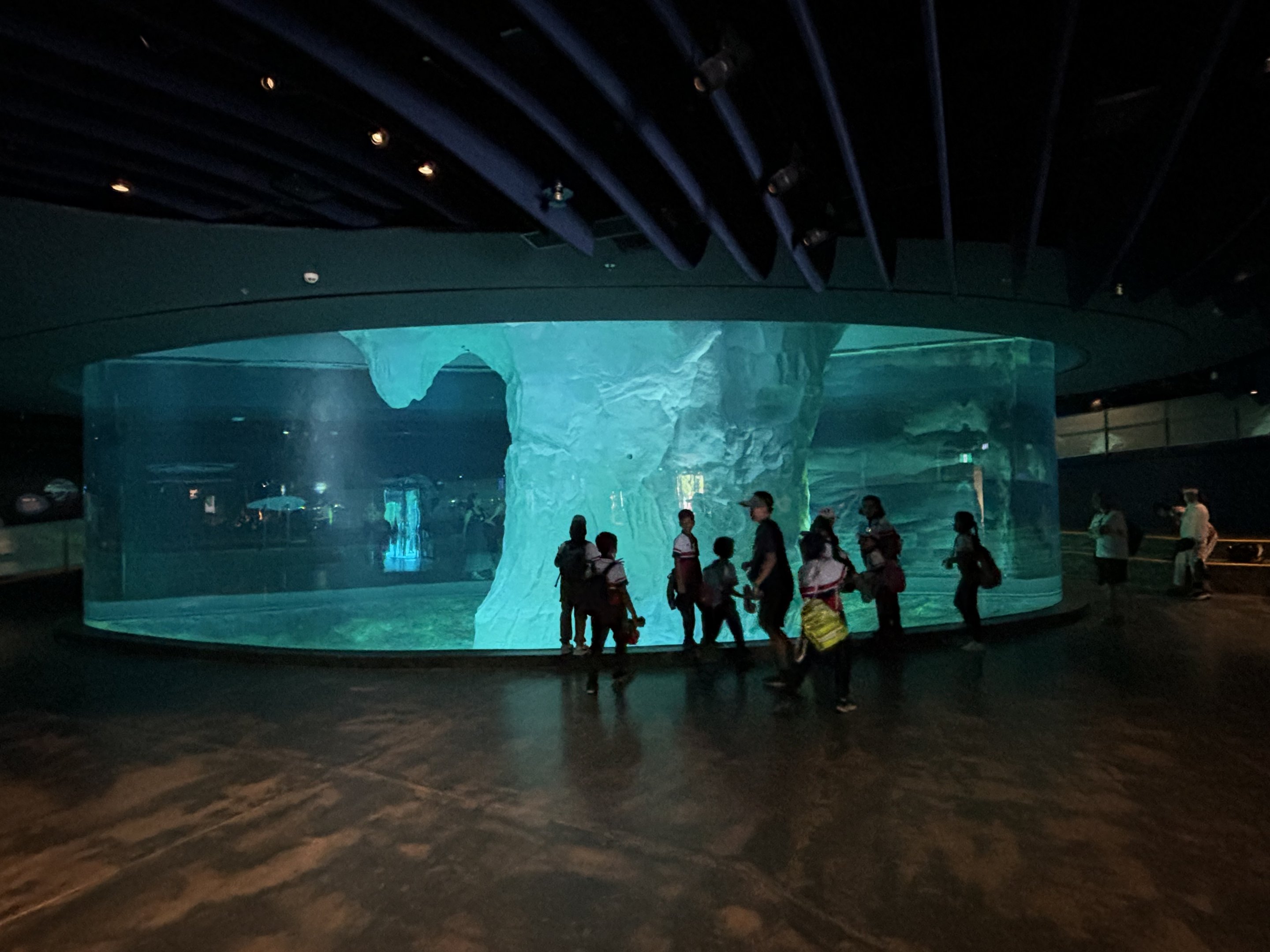 Penguin Cove - world-class