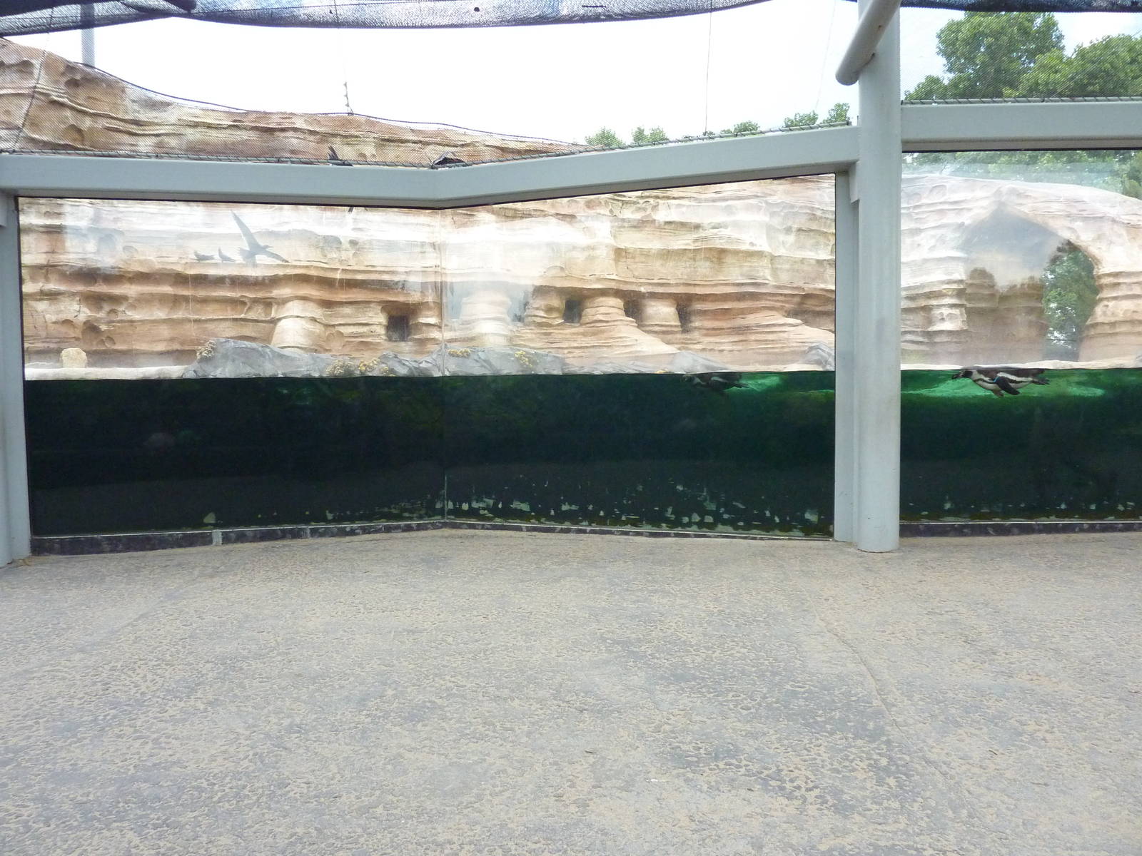 Penguin Cove
