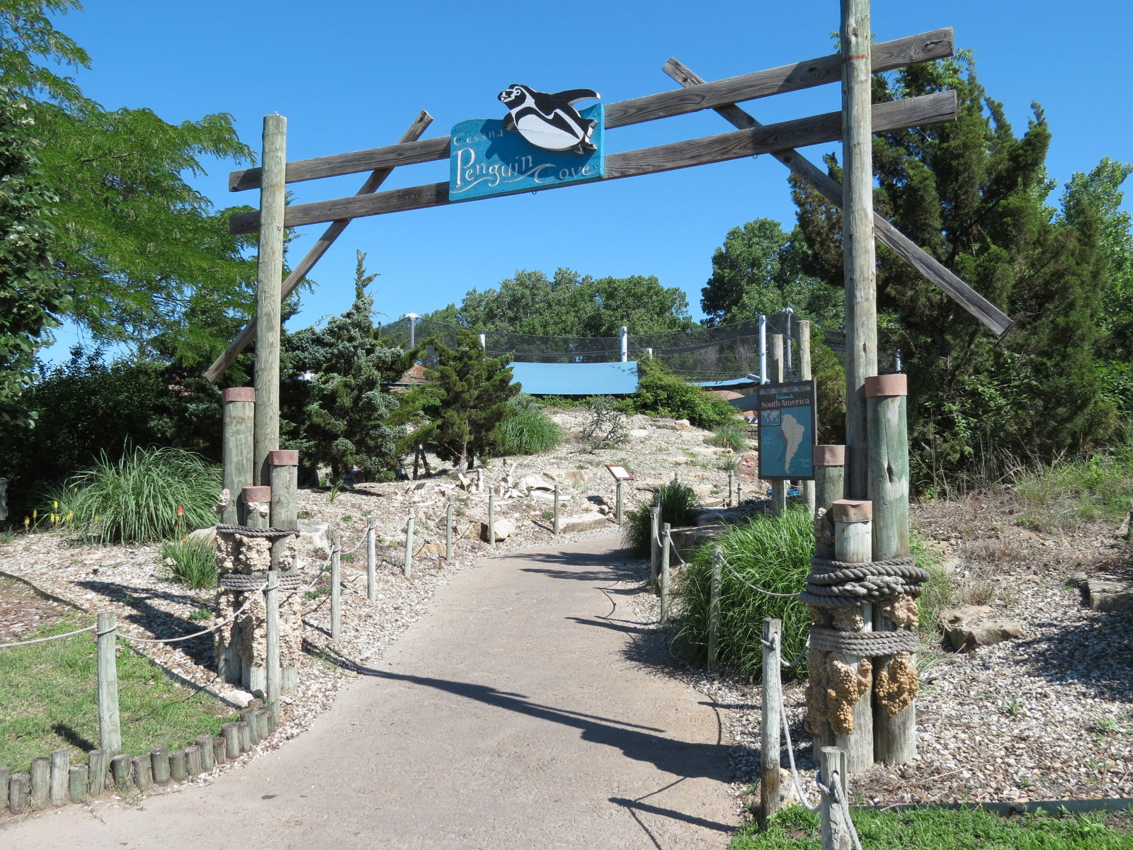 Penguin Cove