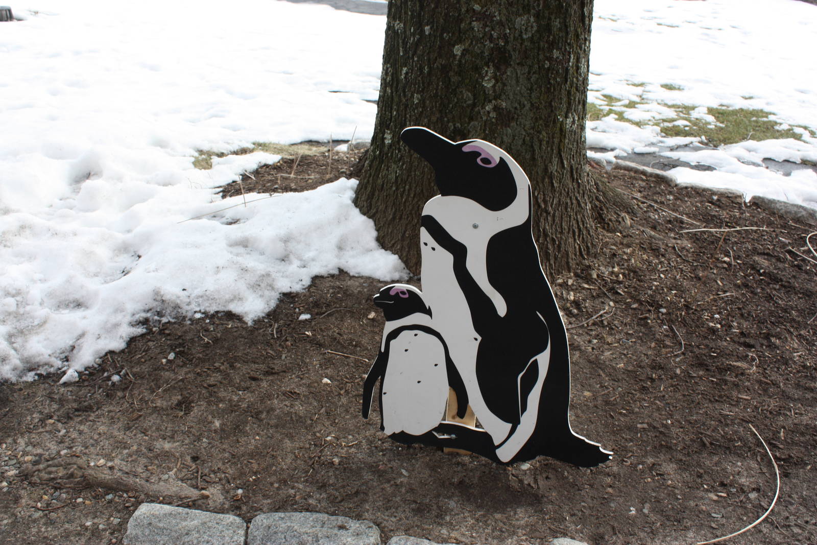Penguin Cut-Outs