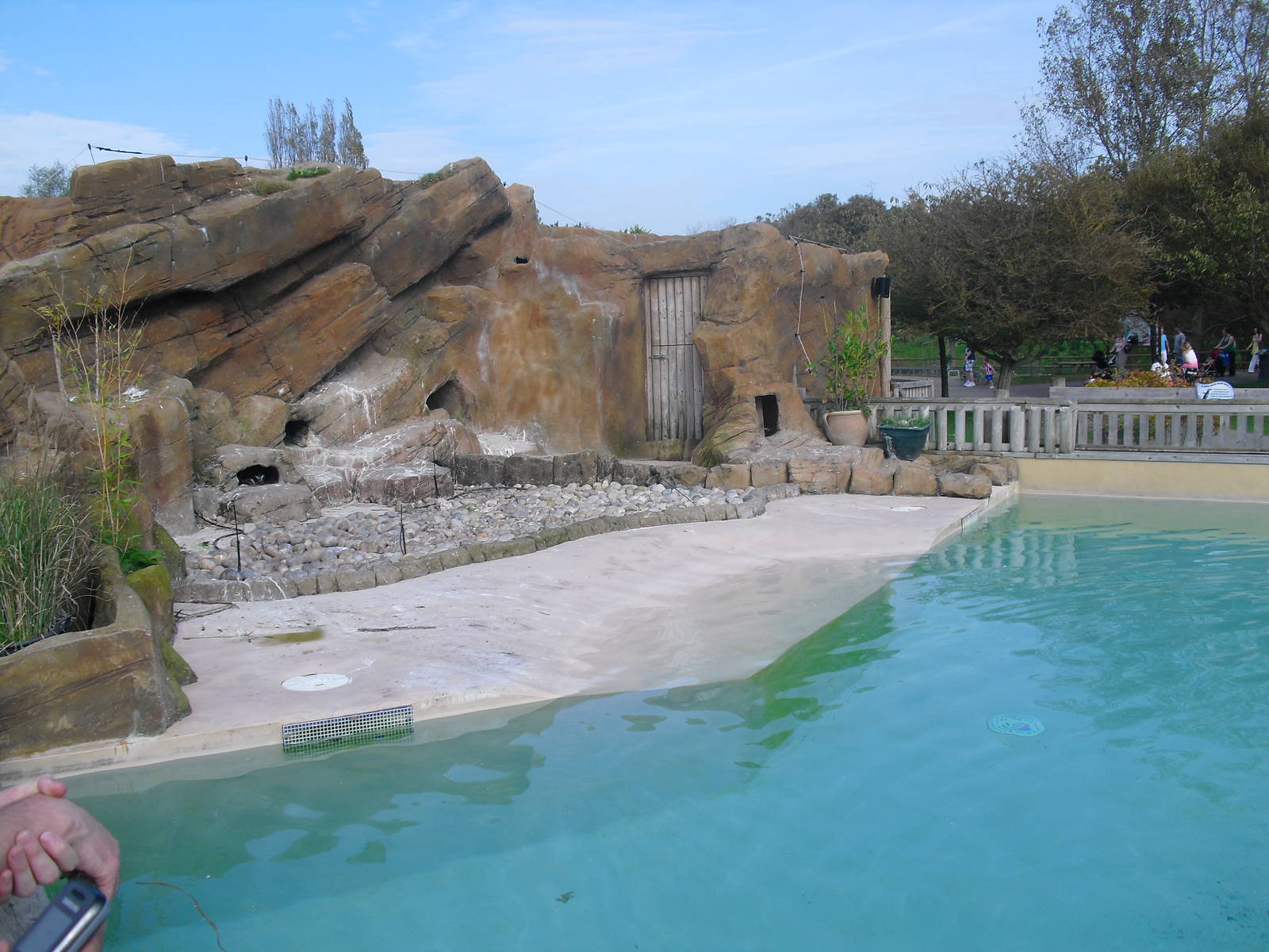 Penguin Enclosure - 01/10/2011