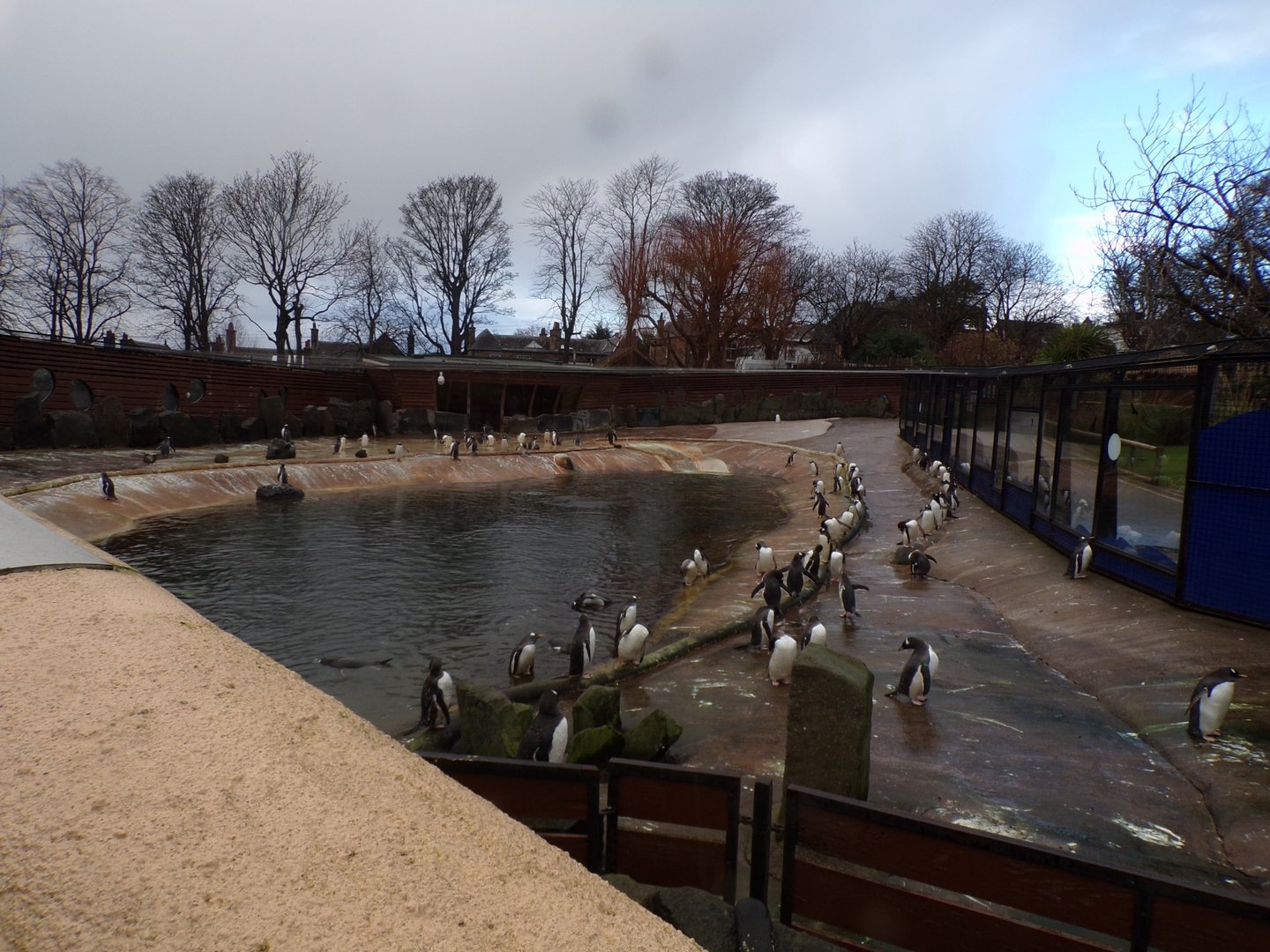 Penguin enclosure 14.1.23