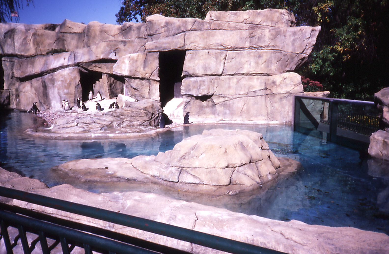 Penguin enclosure - 1987