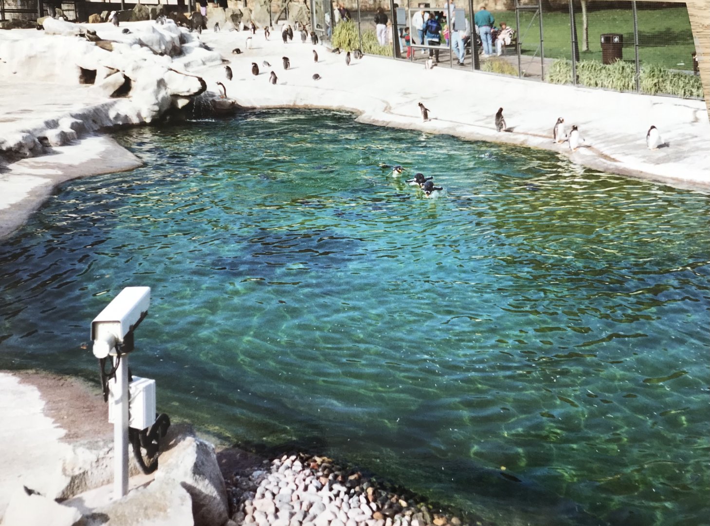 Penguin enclosure 1990s