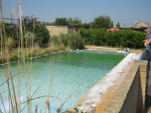 Penguin enclosure 2016.