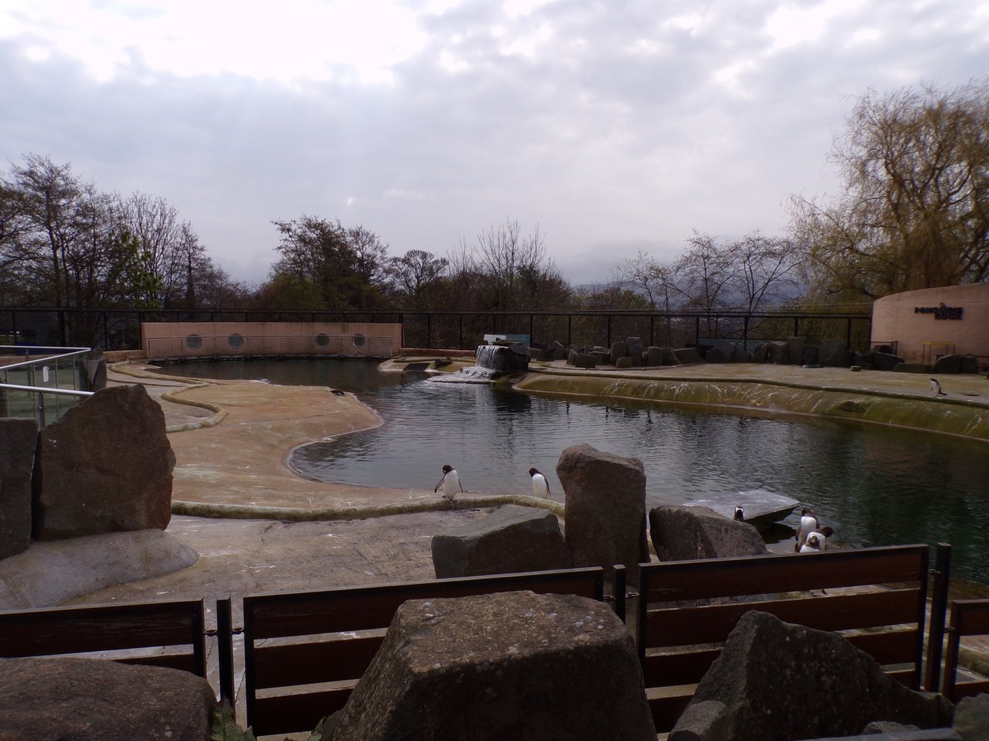 Penguin enclosure  22.4.23