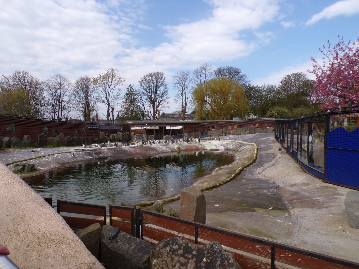 Penguin enclosure   22.4.23