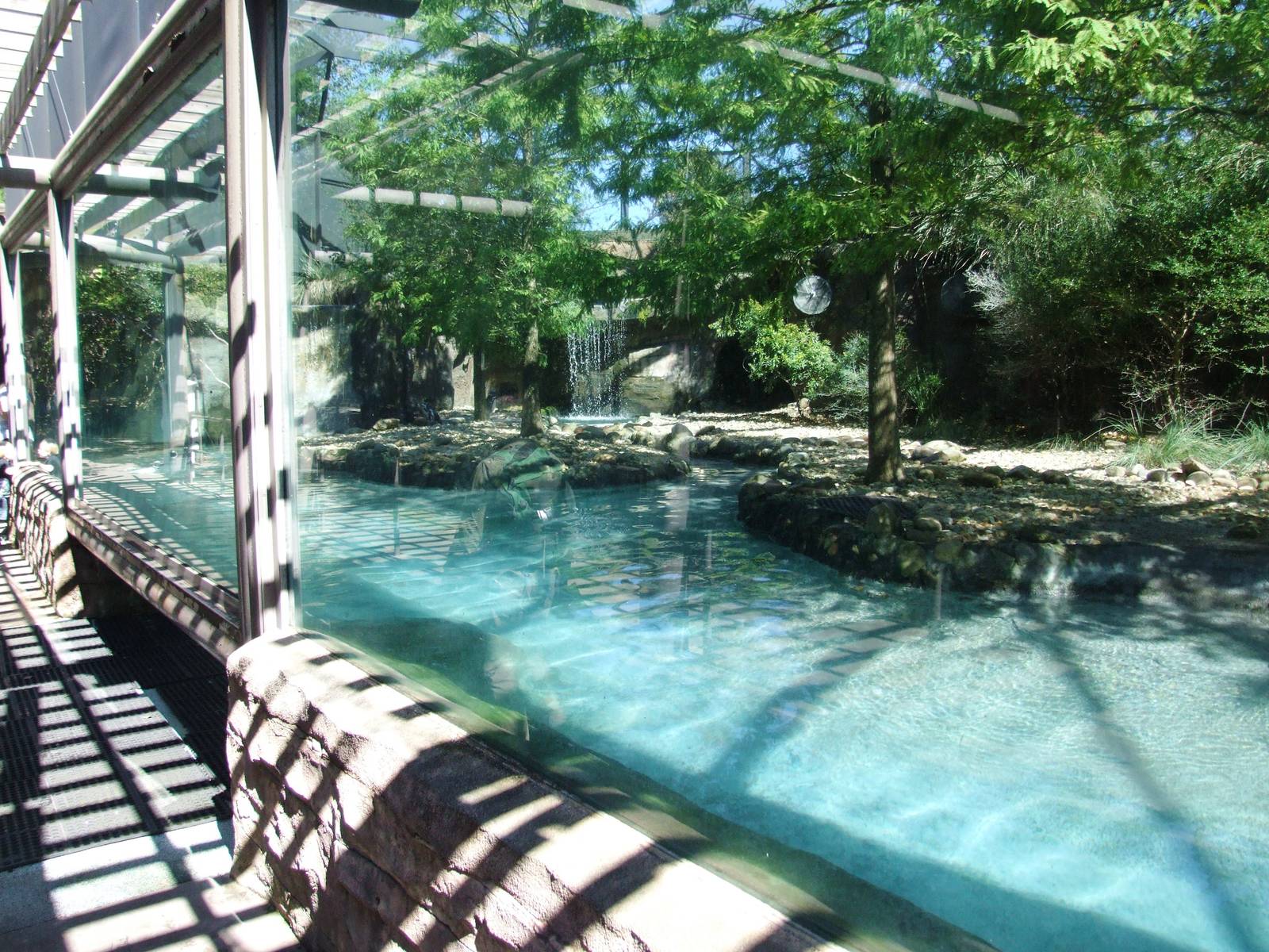 Penguin Enclosure at Jacksonville, 10/10/13