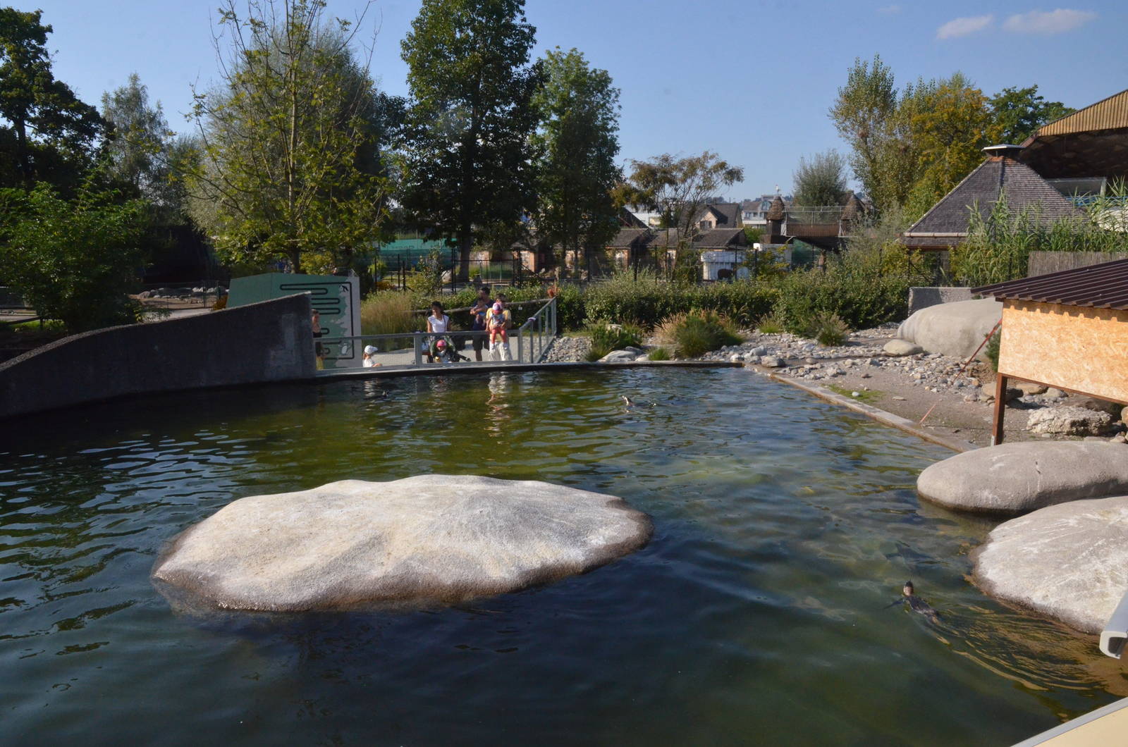 Penguin Enclosure at Knie Kinderzoo, 11/09/16