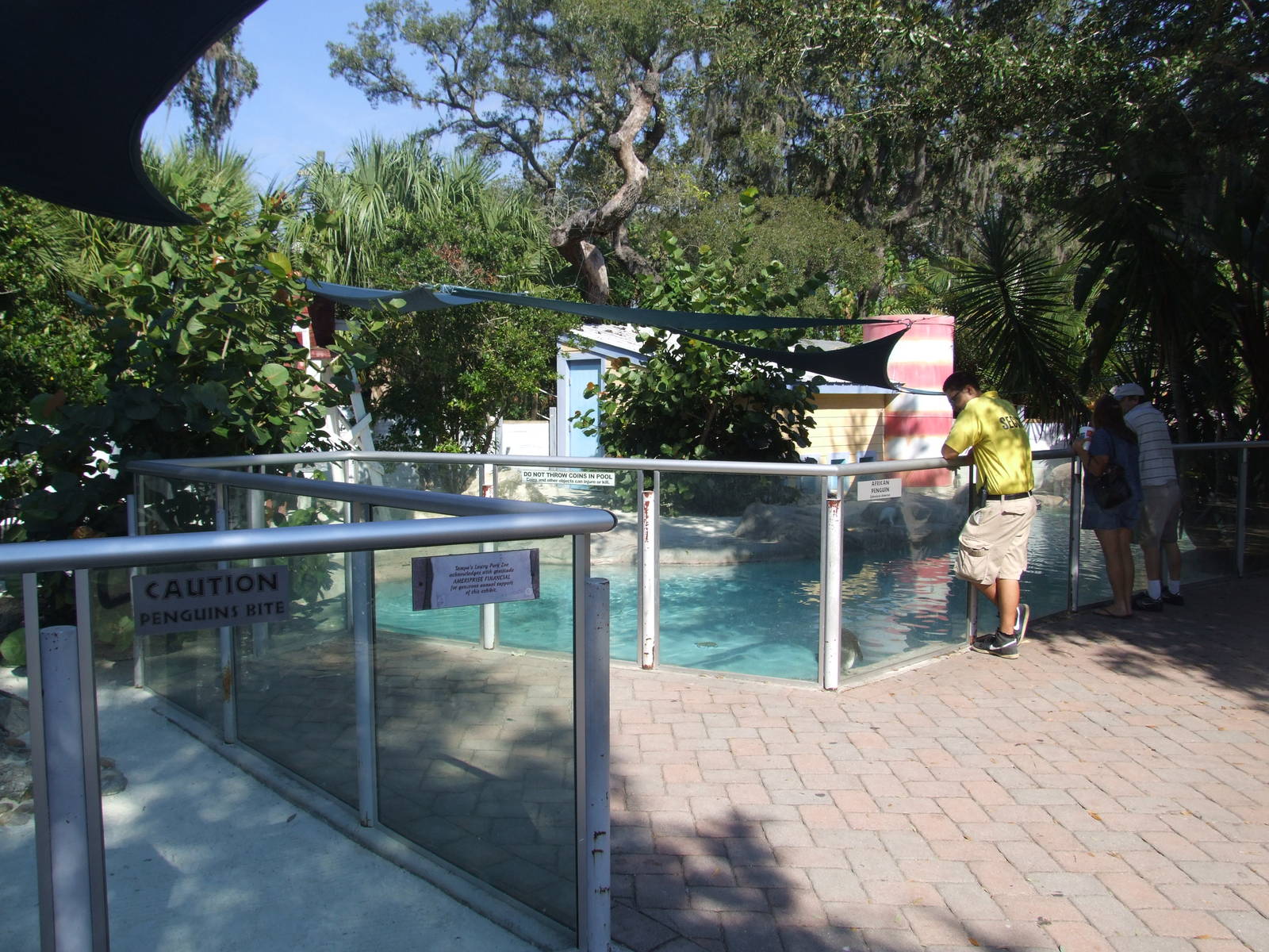 Penguin Enclosure at Lowry Park, 13/10/13