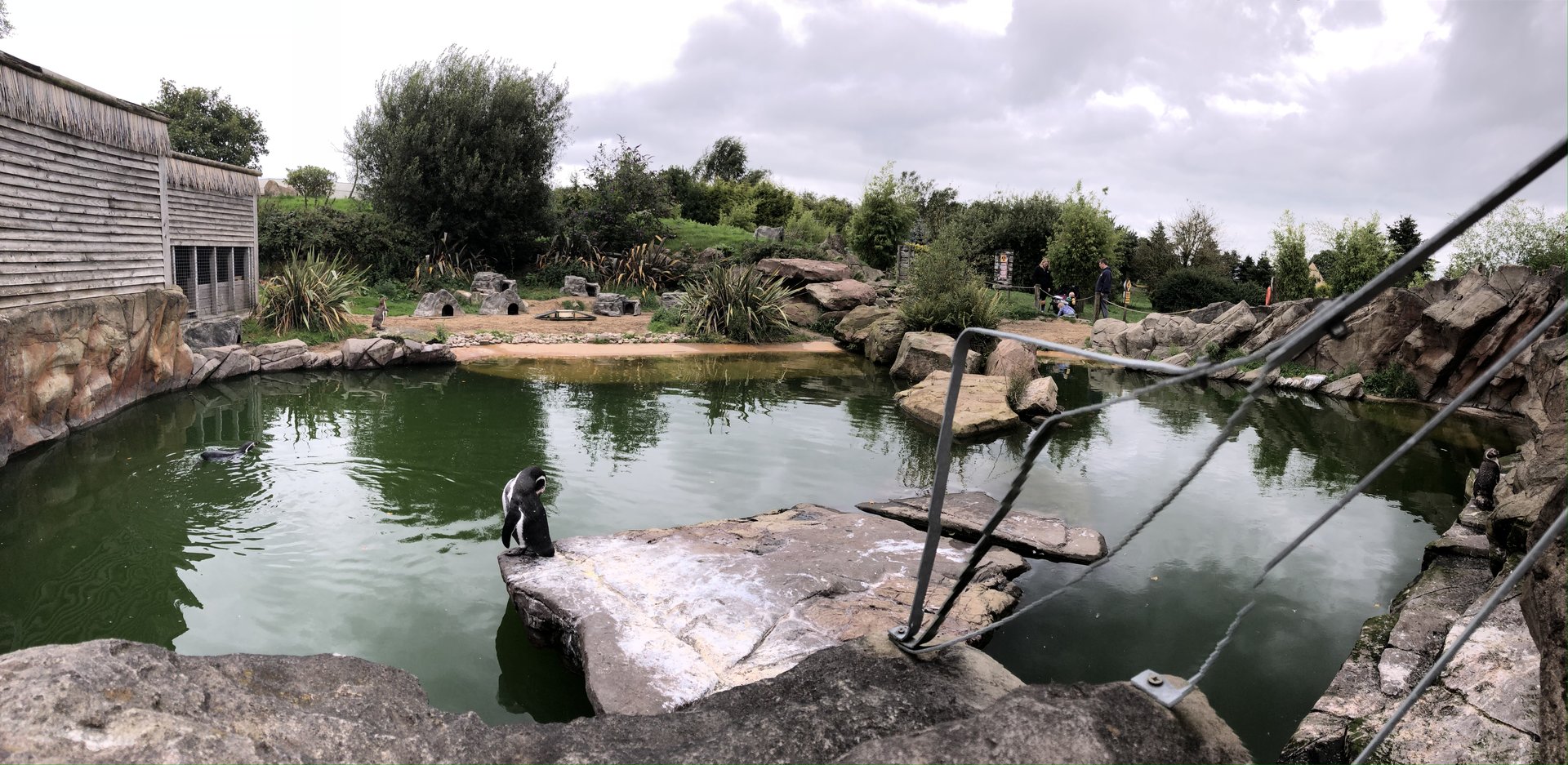 Penguin Enclosure at Peak Wildlife Park (August 2023)