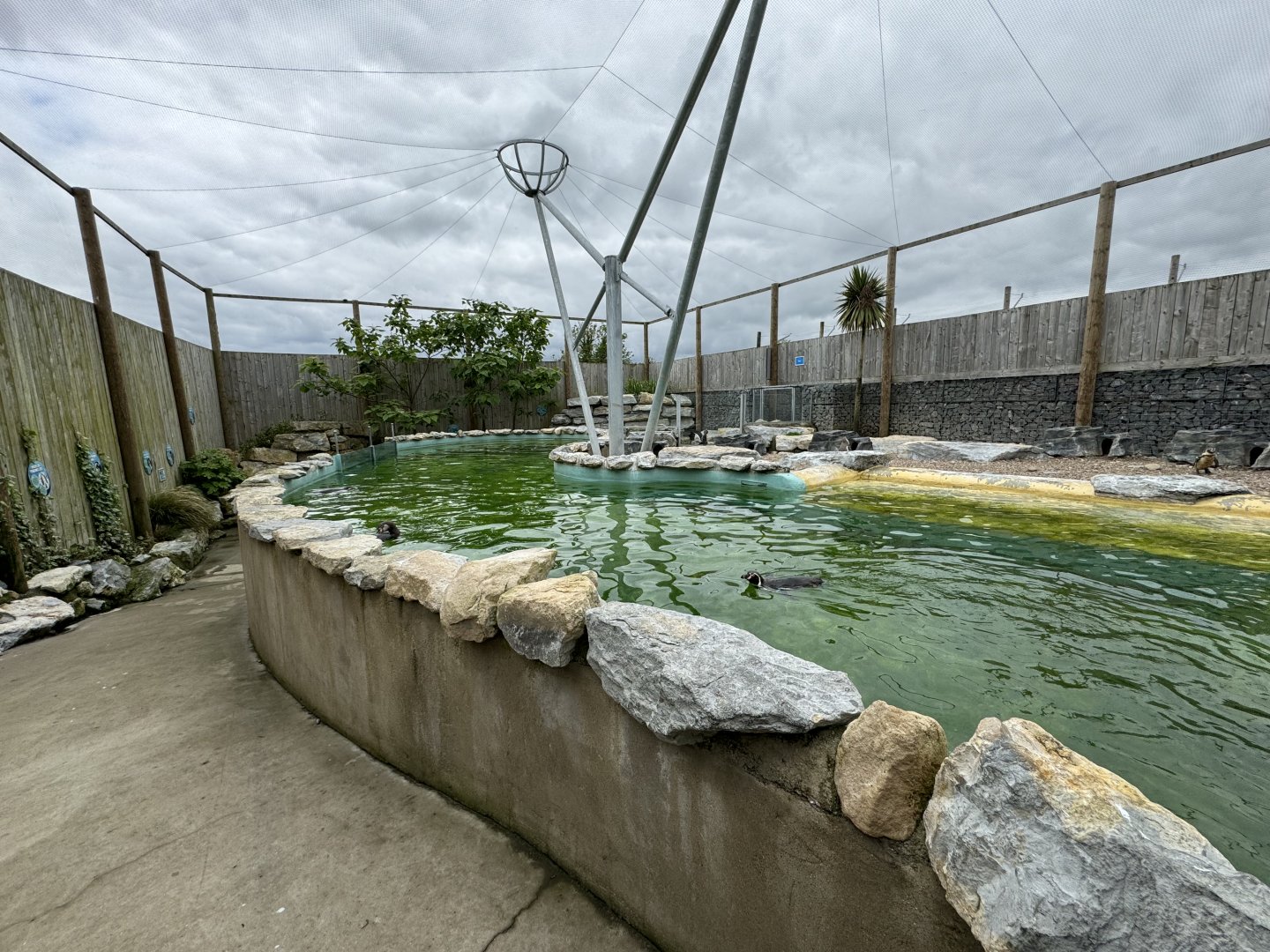 Penguin Enclosure at Woodside Wildlife Park (May 2024)