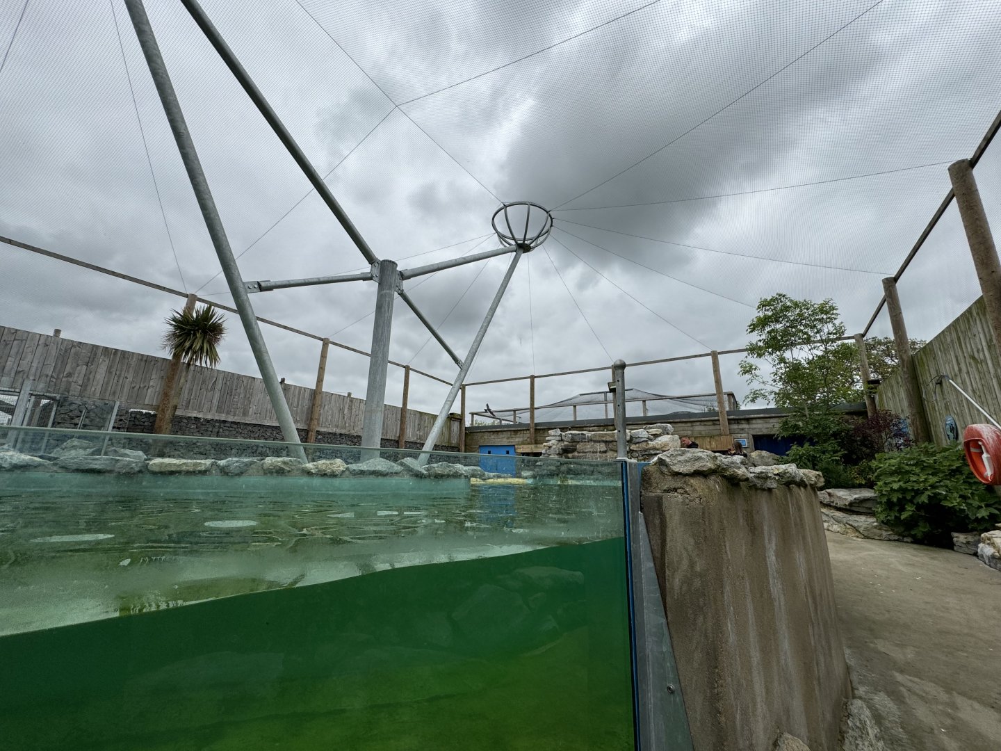 Penguin Enclosure at Woodside Wildlife Park (May 2024)