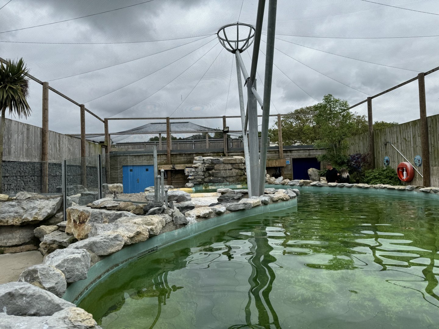 Penguin Enclosure at Woodside Wildlife Park (May 2024)