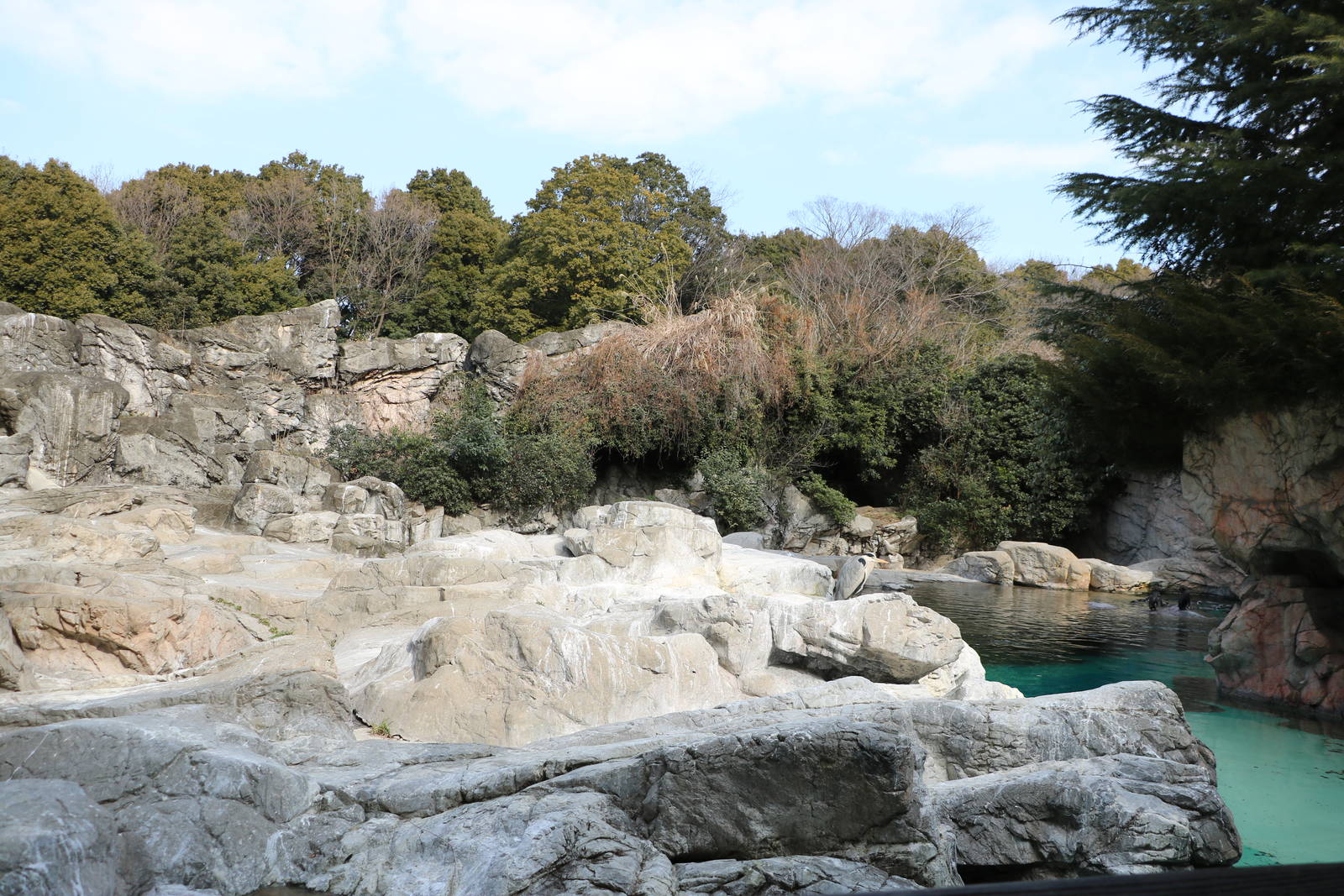 Penguin enclosure, February 2016
