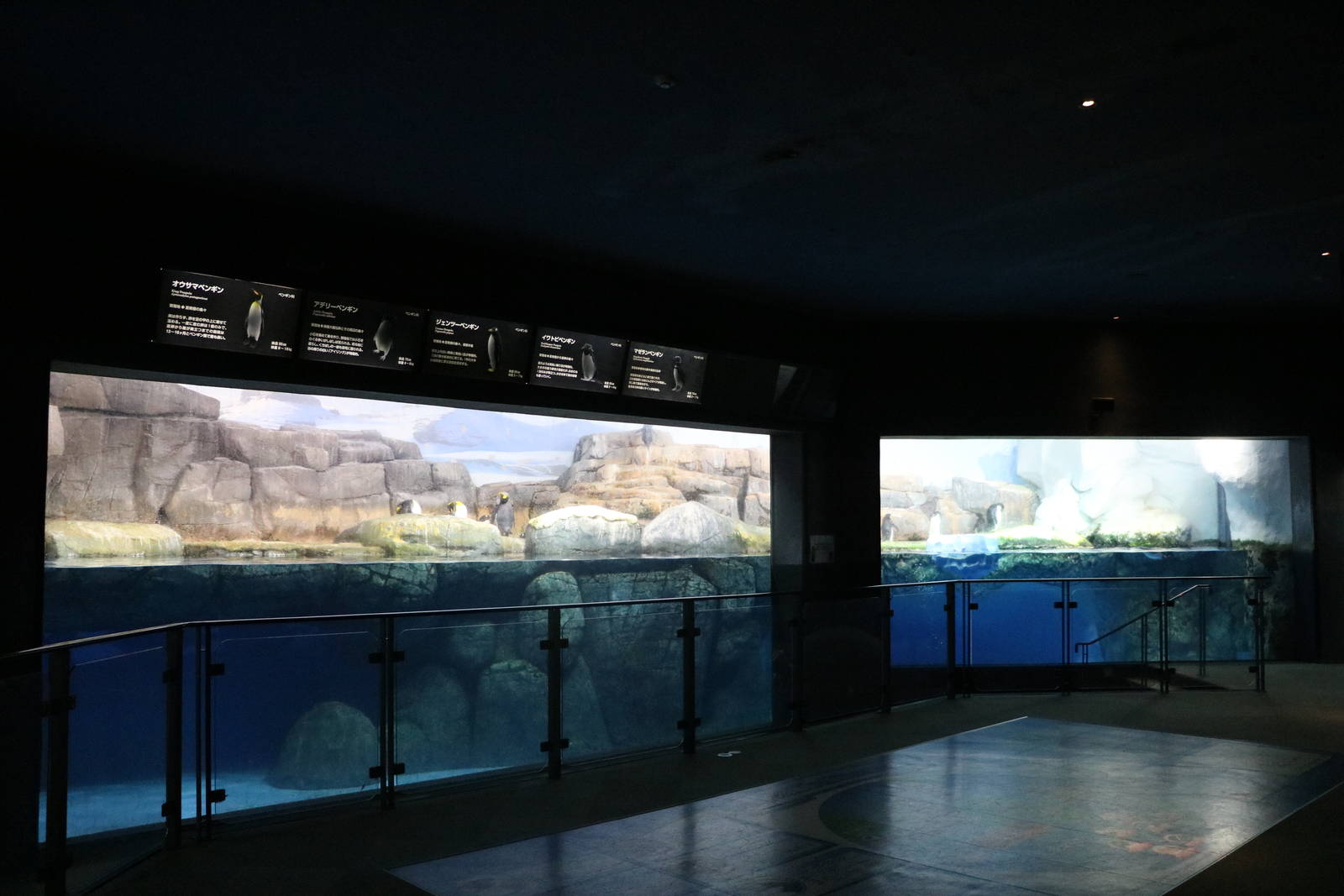Penguin enclosure, February 2016
