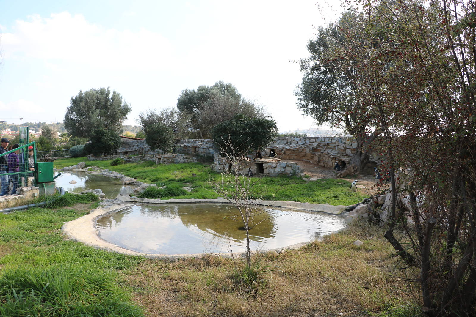 Penguin enclosure, February 2016