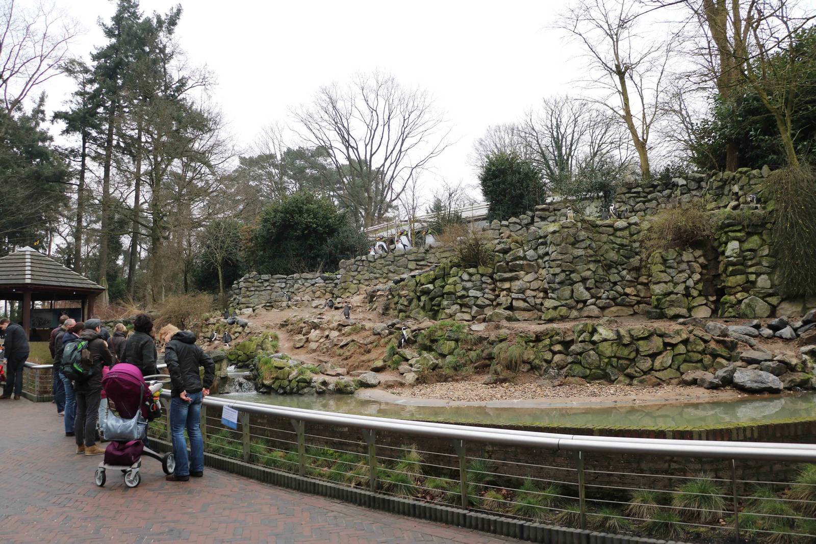 Penguin enclosure, February 2016