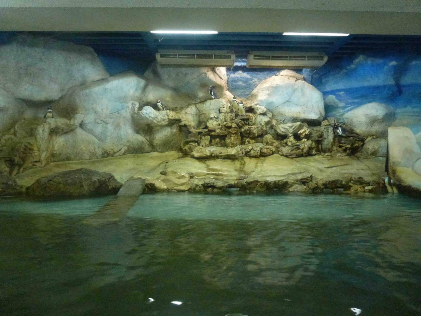 Penguin enclosure, July 2013.